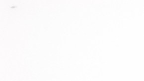 titulos de carros en estados unidos