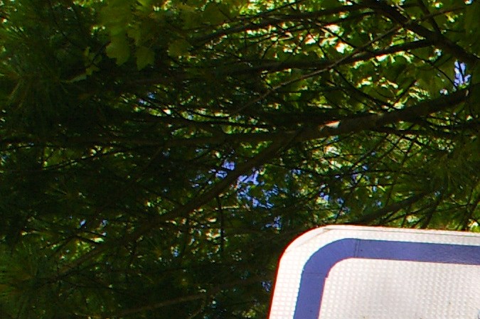 licencia para indocumentados en rhode island