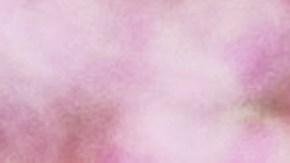 Llantas para verano.