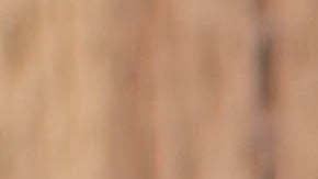 pegamento para carros