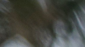 yield significado tránsito