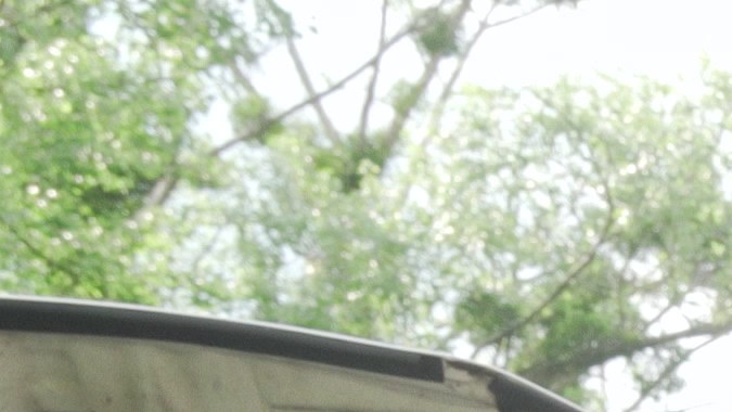 remolques para carros