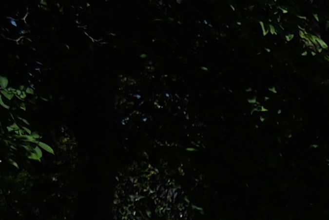 Señales de tránsito transitorias