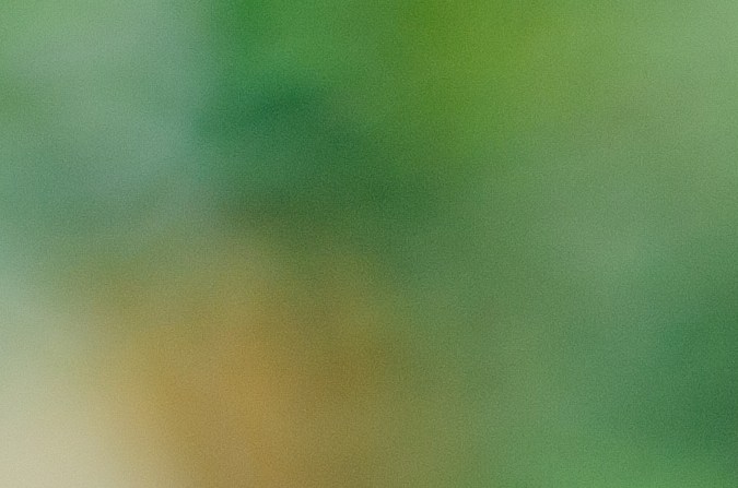 cuanto gana un conductor de Uber en estados unidos