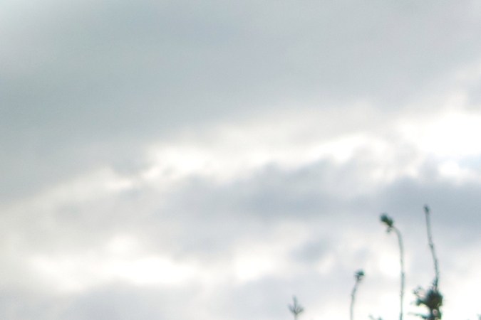 area de descanso cerca de mi