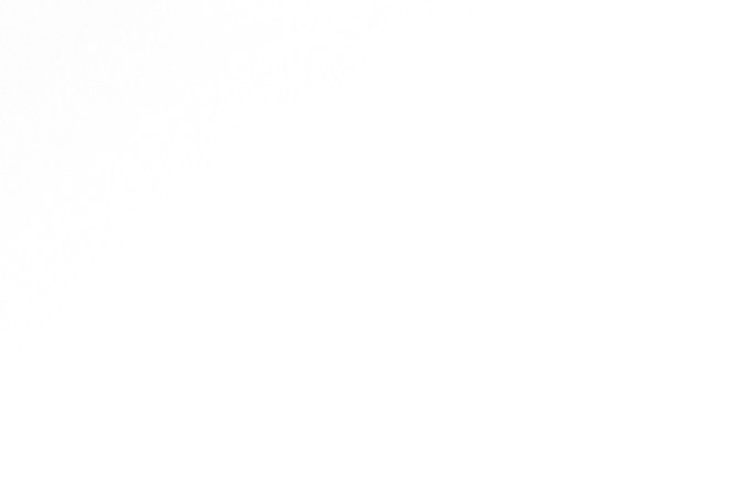 que es un neumático antipinchazos