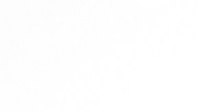 que es un neumático antipinchazos