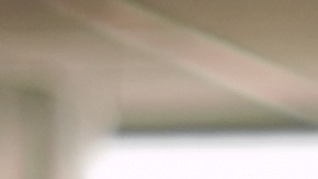 licencia de conducir florida