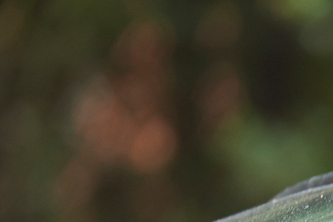 edad minima para la licencia de conducir en estados unidos