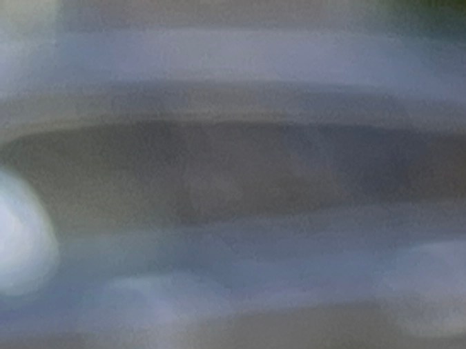 dónde sacar licencia de conducir en usa