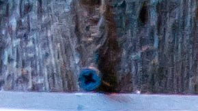 lugar donde se sacan las placas