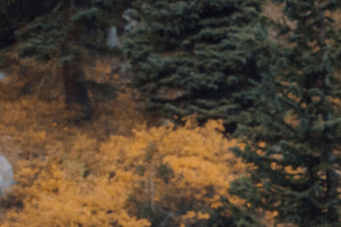 Rivian R1T camioneta