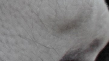 Estos son los extras de un auto que aumentan su valor