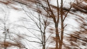 Acura ZDX Prototype.