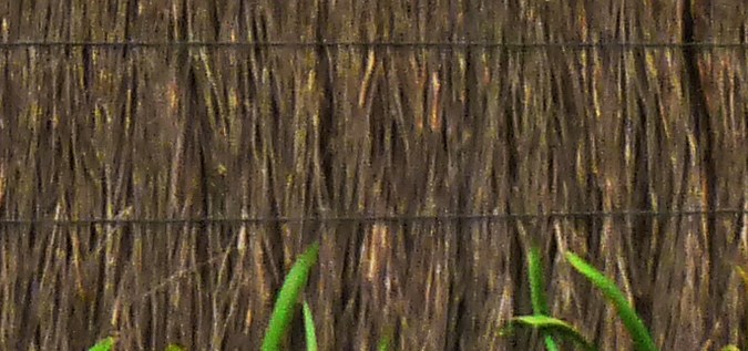 Toyota Corolla 2010.