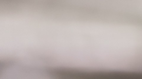 Cómo encontrar el número de licencia de conducir si la perdí