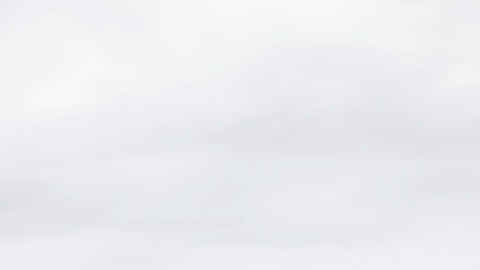Volkswagen ID Buzz EV 2024.