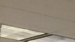 Departamento de vehiculos motorizados de texas