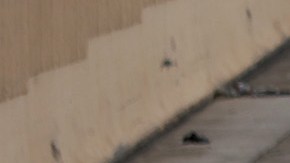 Seguro de autos en Florida