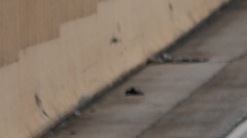 Seguro de autos en Florida