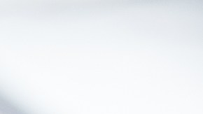 Subasta de carros de la Policía de New York