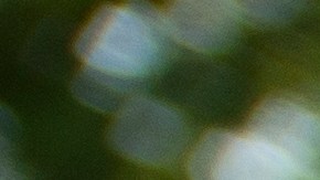 licencia de conducir en colorado