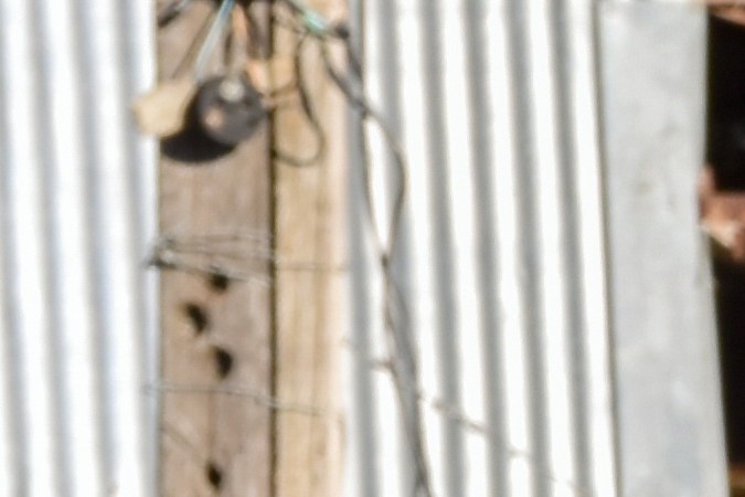 yonke de carros chocados cerca de mi