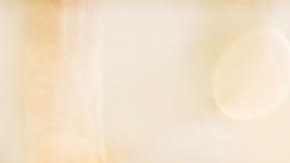 Comprar piezas de segunda mano en un yonke de carros