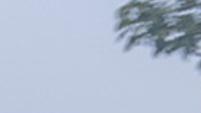 Citroen construirá un auto eléctrico por menos de 30.000 dólares