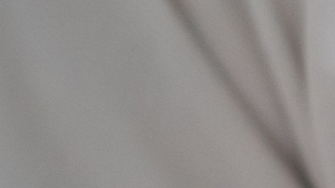 contrato de compraventa de vehículo en estados unidos