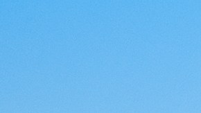 permiso para carros americanos