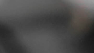 Cómo proteger a tu auto de los roedores