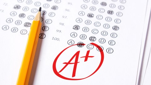 examen de manejo ny
