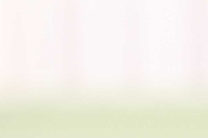 requisitos para id de nuevo méxico