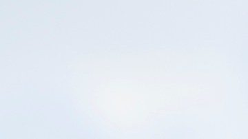 licencia de maryland