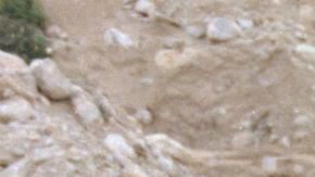 Que son las camionetas OBS