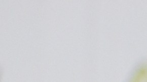 El Senado de Nueva York aprueba la homologación licencia de conducir dominicana