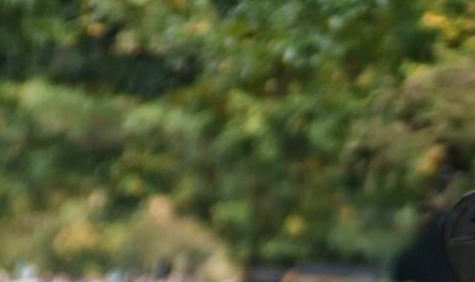 Qué hacer si una tormenta deja tu coche inundado