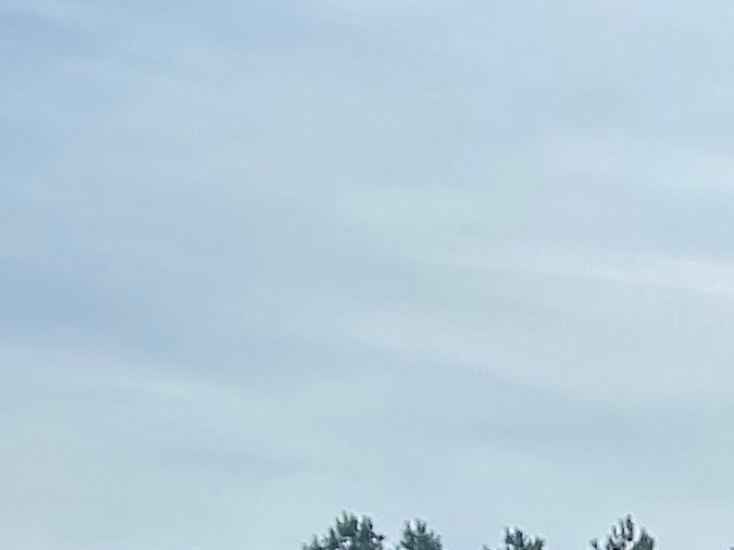 licencia de conducir en georgia 2023