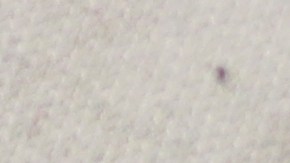 examen de manejo en delaware