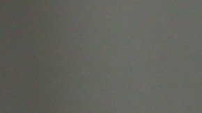 Licencia temporal Florida: un permiso de conducir temporario