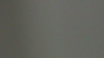 Licencia temporal Florida: un permiso de conducir temporario