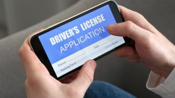 Licencia temporal Florida: un permiso de conducir temporario