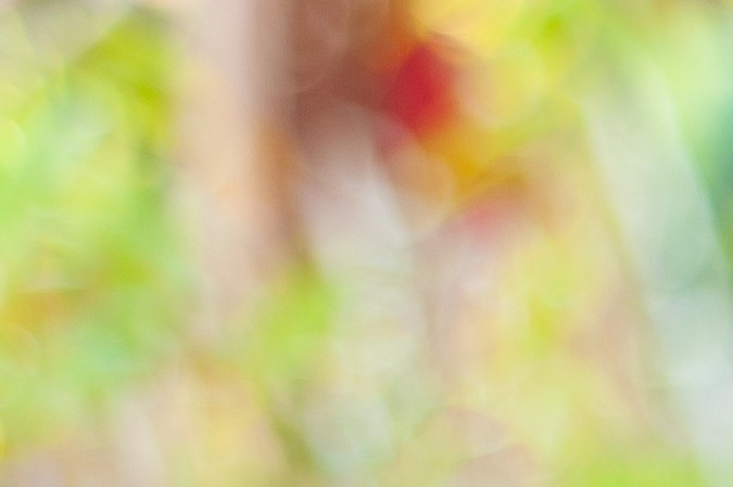 motores en venta usados