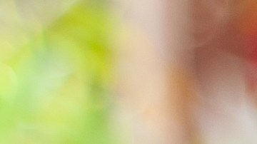 Qué es la válvula EGR y con qué aditivos limpiarla