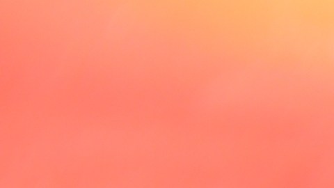 gasolina
