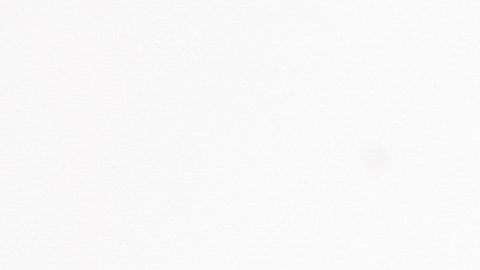 Faros H4 y los faros H7: cuáles son las diferencias entre ellos