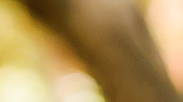 Estos son los carros más caros de la historia vendidos en subastas