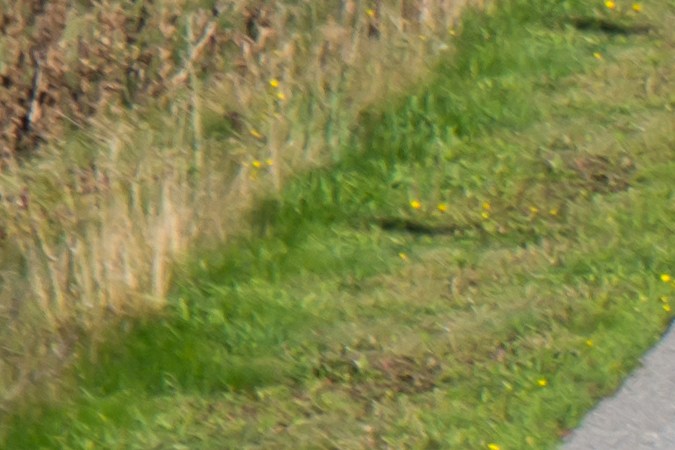 El frenado automático de emergencia ante la detección de un peatón será regla en los autos nuevos