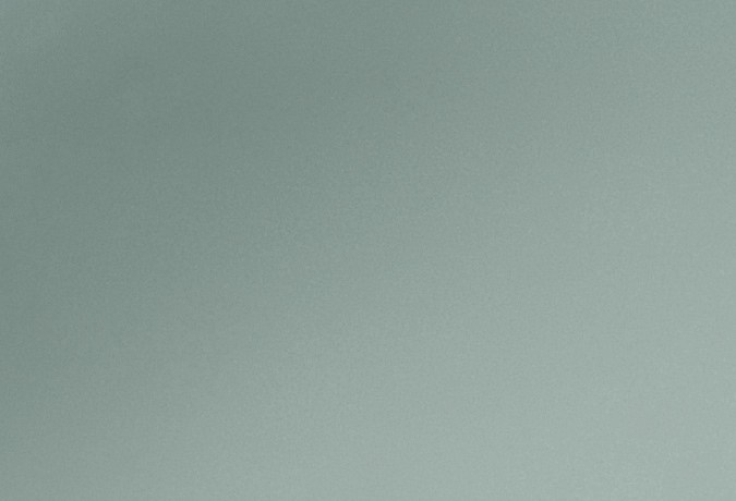 nuevo mexico dmv licencia